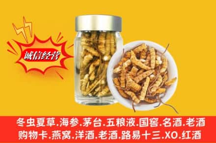 南京市高淳回收散虫草